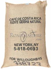 Costa Rica Rodolfo Rivera Geisha Natural